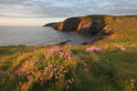 Ceibwr Bay, Pembrokeshire