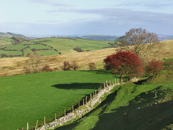 Cennen Valley, Carmarthenshire