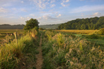 Cheriton Valley