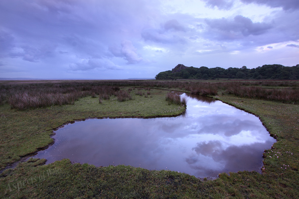 Landimore Marsh, Cheriton, Gower