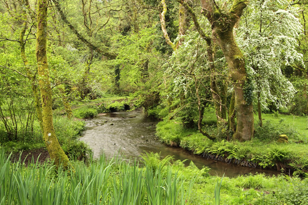 Cheriton Valley, Gower