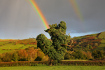 Abergwenlais, Carmarthenshire