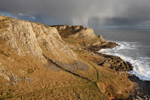 Common Cliff, Gower