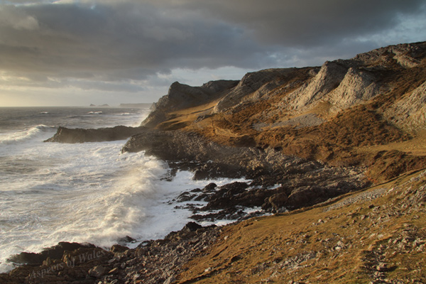 Common Cliff, Gower