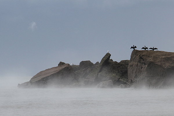 The Needles, Pwlldu