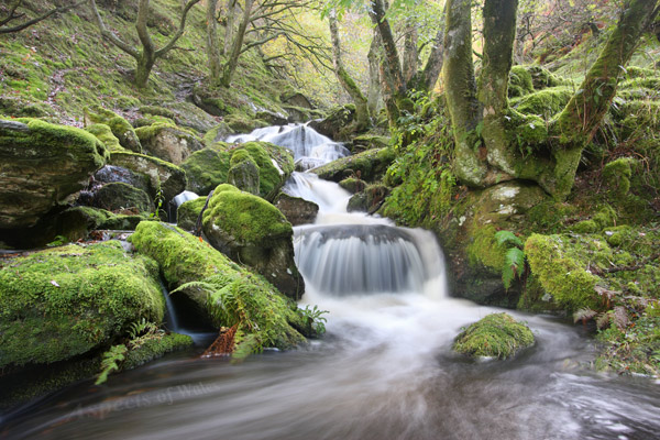 Cwm y Rhaeadr, Rhandirmwyn, Carmarthenshire