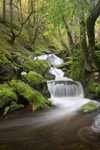 Cwm y Rhaeadr, Carmarthenshire