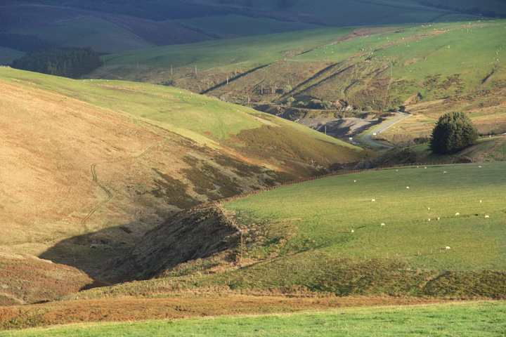 Nant Dropyns Valley