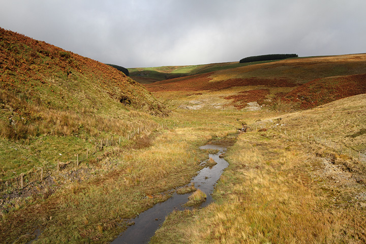 Reservoir on Nant Dropyns