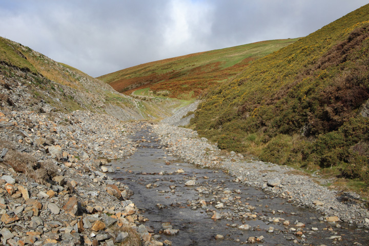 Nant Dropyns upstream Dylife