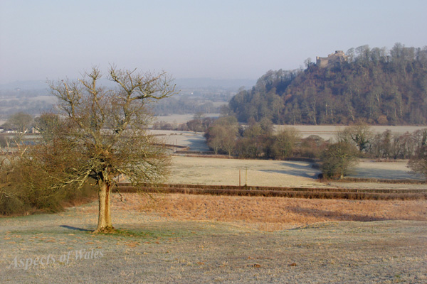 Dynevor Castle, Llandeilo