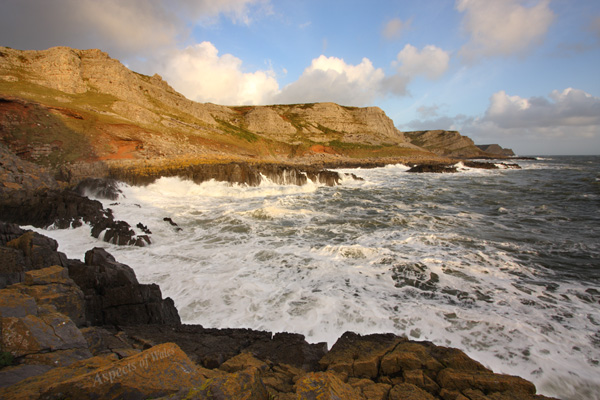 Butter Slade, Gower