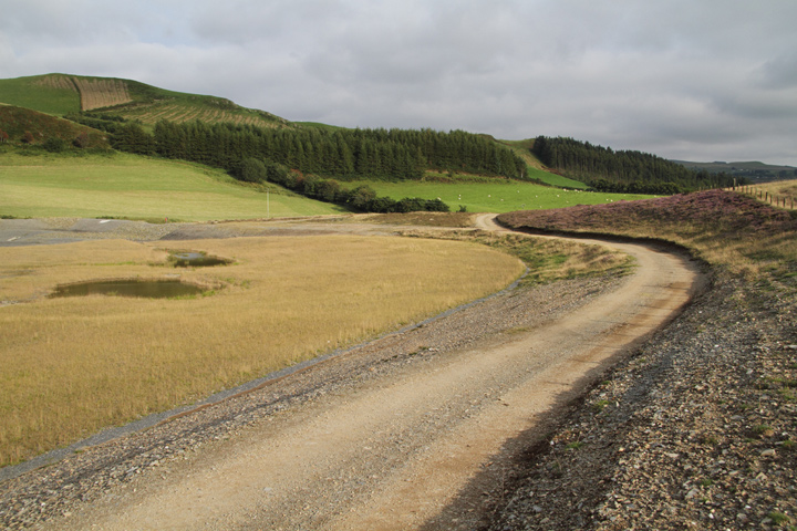 Frongoch Mine, Ceredigion