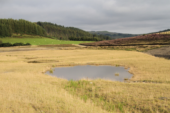 Frongoch Mine, Ceredigion