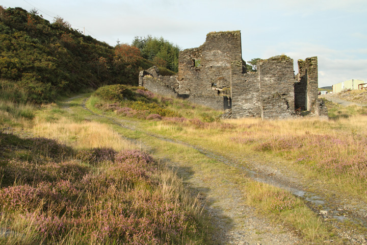 Frongoch Mine, Ceredigion