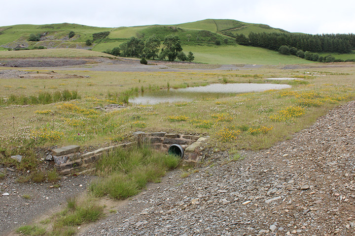 Frongoch Mine 2017