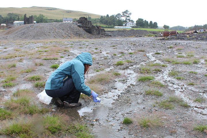 Wet weather survey, July 2017