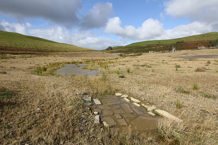 Wet weather survey, July 2017
