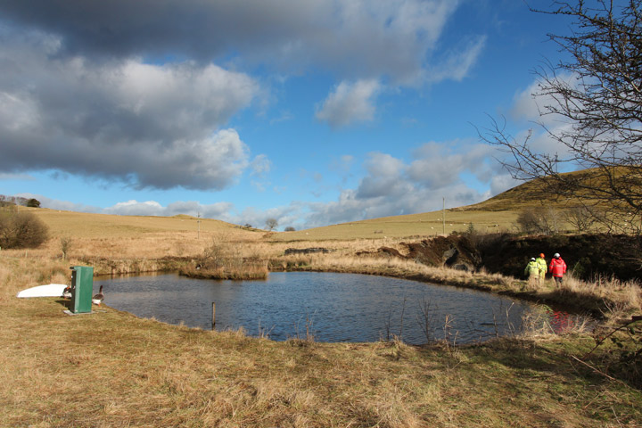 Frongoch Mine