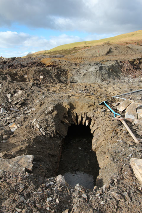Frongoch Mine