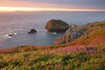 Garland Stone, Skomer Island, Pembrokeshire