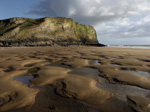 Mewslade