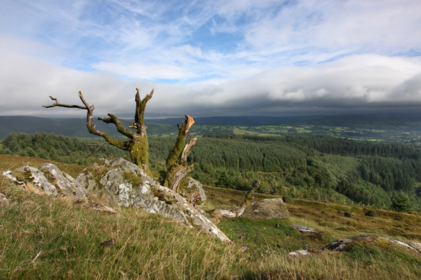 Mynydd Mallaen