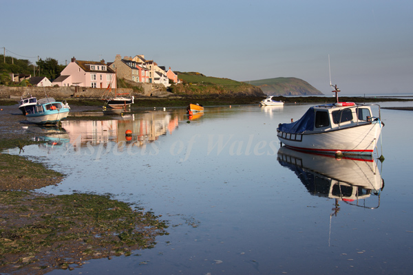 Newport Parrog, Pembrokeshire