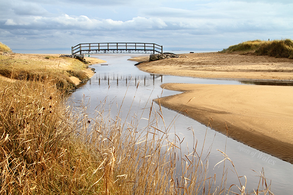 Nicholaston Pill, Gower