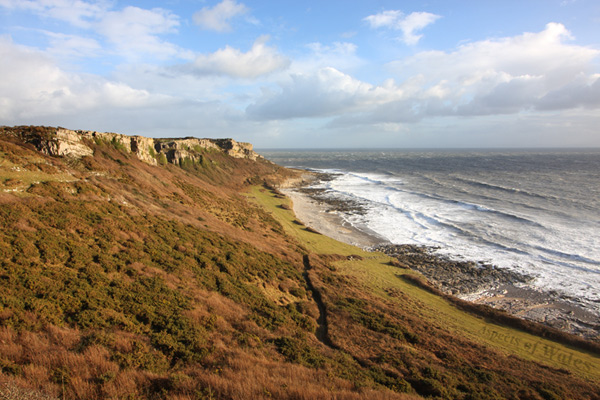 Oxwich Point, Gower