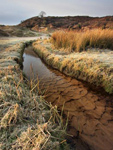 Penmaen Stream, Gower