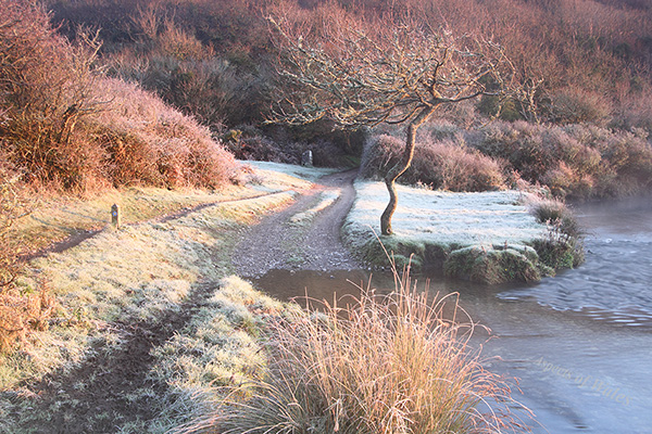 Pwlldu ford, Bishopston Valley