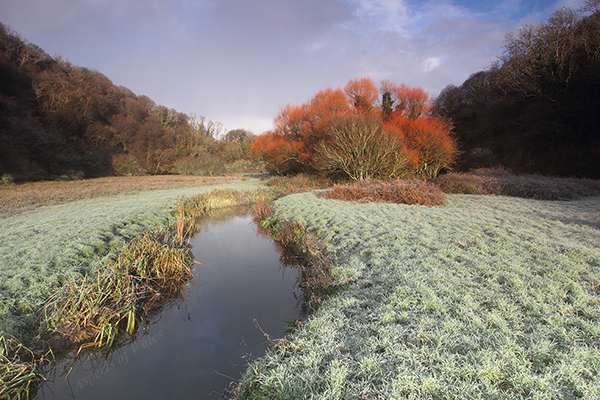 Pwlldu Stream, Bishopston Valley