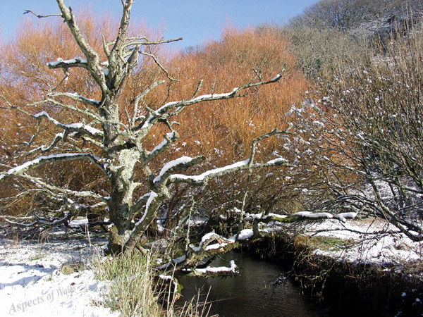 Pwlldu Stream in snow