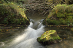 Source of the River Loughor, Carmarthenshire