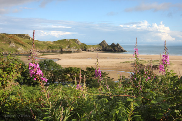 Three Cliffs Bay, Gower