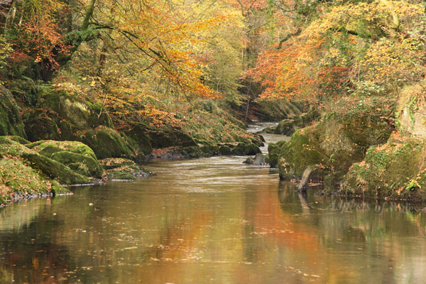 Afon Tywi, Cilycwm, Llandovery