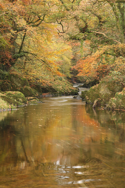 Afon Tywi, Cilycwm, Llandovery