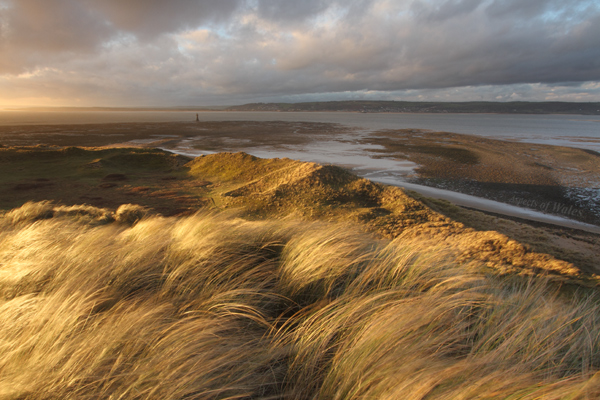 Whiteford Point, Gower