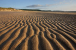 Landimore Marsh, Gower