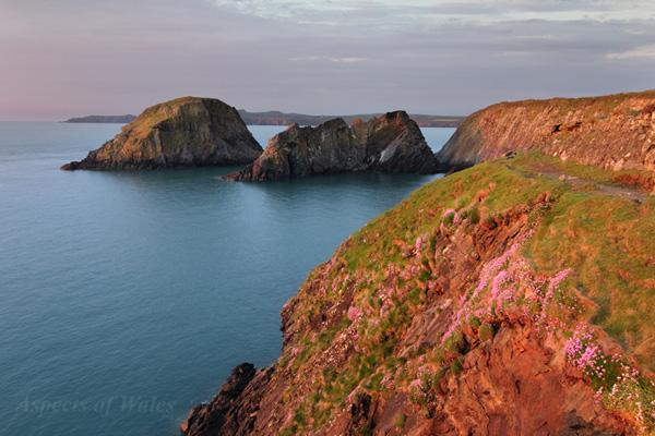 Ynys Deullyn, Pembrokeshire