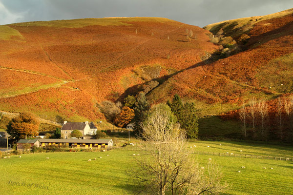 Ystradffin, Carmarthenshire