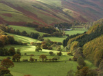 Ystradffin, Carmarthenshire