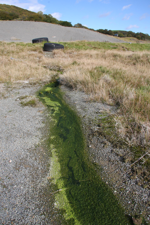Abbey Consols Mine seepage