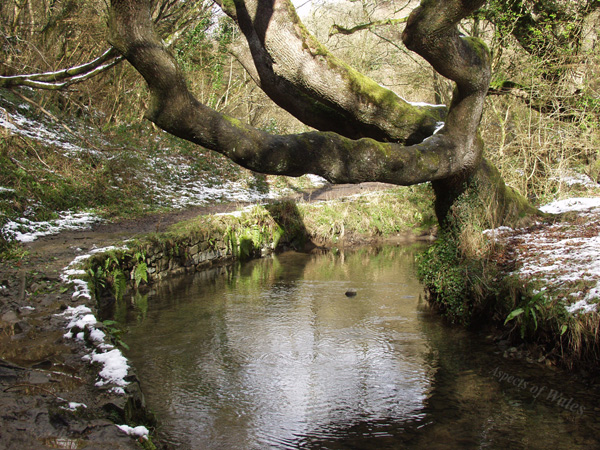 Bishopston Valley, Gower