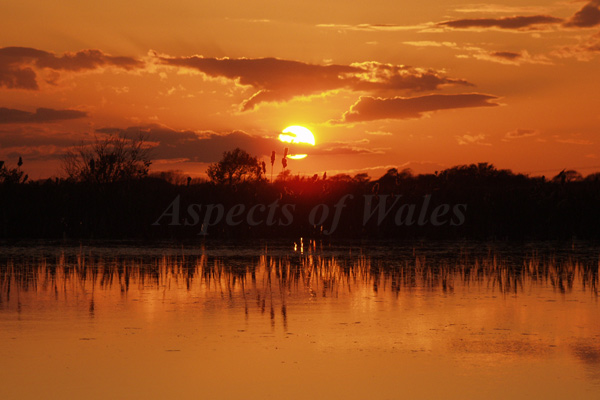 Broadpool, Gower