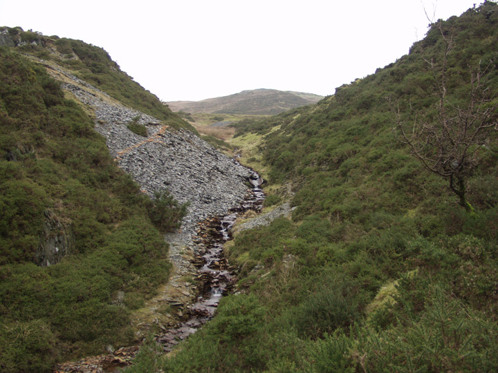 Cwm Rheidol Mine