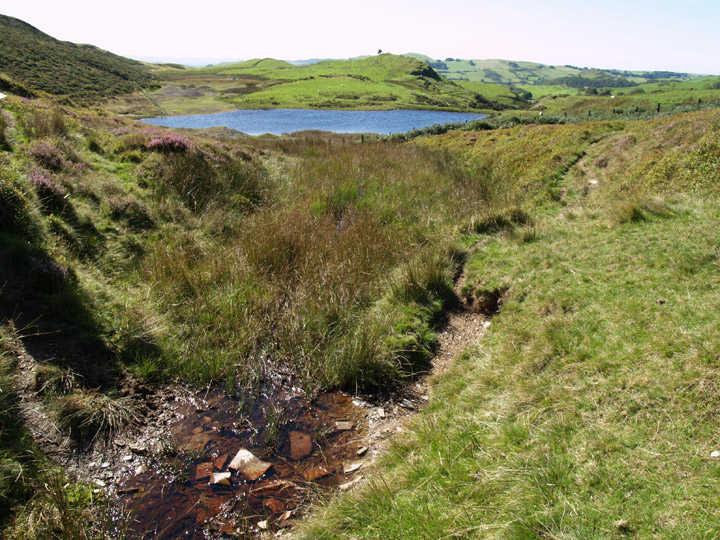 Cwm Rheidol Mine