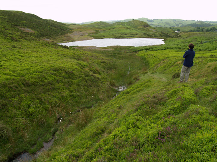Cwm Rheidol Mine