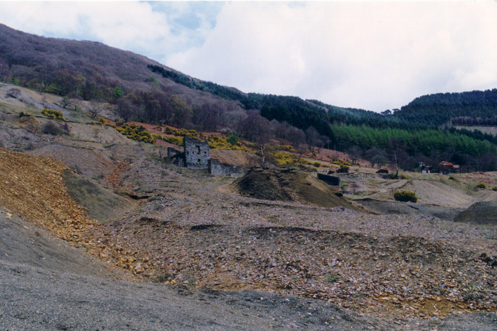 Cwm Rheidol Mine